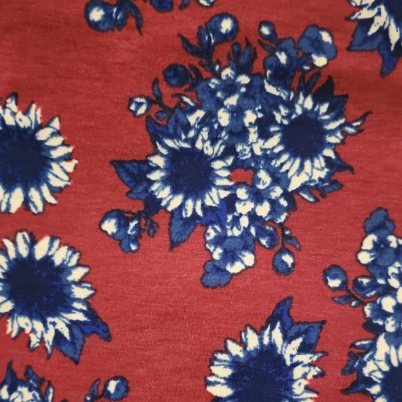 $4 FIRM 🌟FINAL MARK DOWN🌟 LuLaRoe Red and Blue Floral Mini Dress - Picture 10 of 10